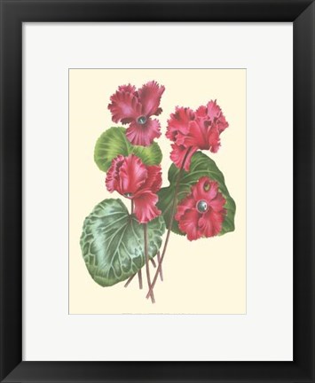 Framed Bountiful Garden I Print