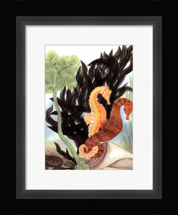 Framed Seahorse Serenade I Print