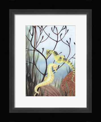 Framed Seahorse Serenade II Print