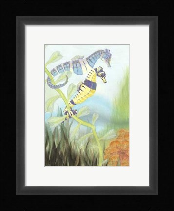 Framed Seahorse Serenade III Print