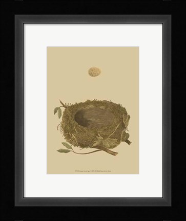 Framed Antique Nest Egg I Print