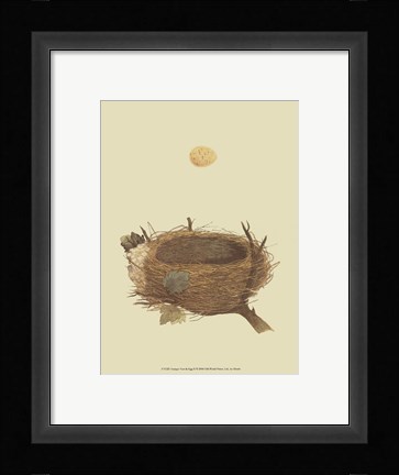 Framed Antique Nest Egg II Print