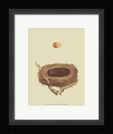 Framed Antique Nest Egg III Print