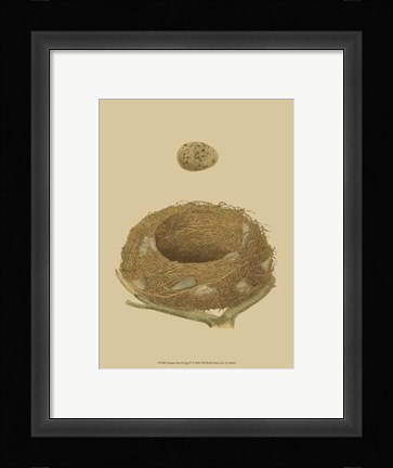 Framed Antique Nest Egg IV Print
