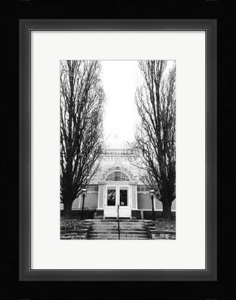 Framed Conservatory I Print
