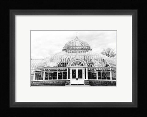 Framed Conservatory III Print