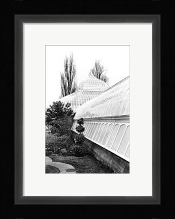Framed Conservatory IV Print