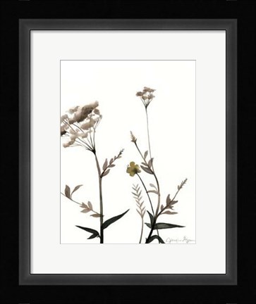 Framed Watermark Wildflowers I Print