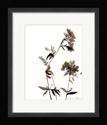 Framed Watermark Wildflowers II Print