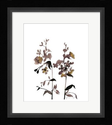 Framed Watermark Wildflowers III Print