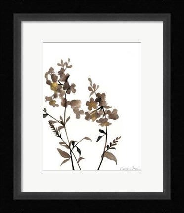 Framed Watermark Wildflowers IV Print