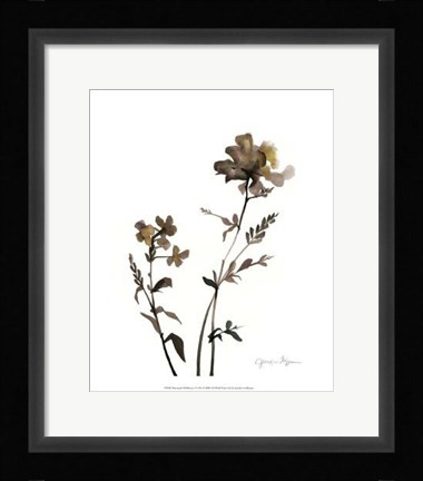 Framed Watermark Wildflowers VI Print
