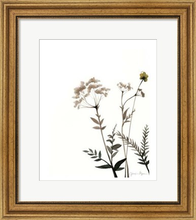 Framed Watermark Wildflowers IX Print