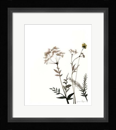 Framed Watermark Wildflowers IX Print