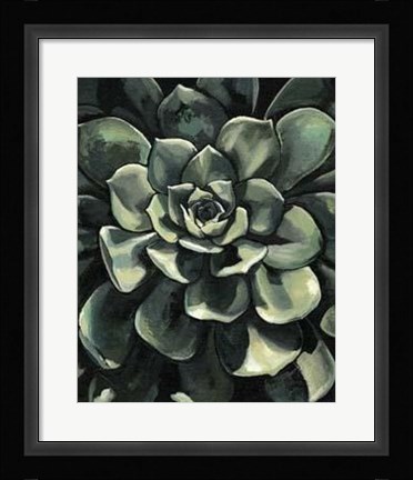 Framed Lunar Succulent I Print
