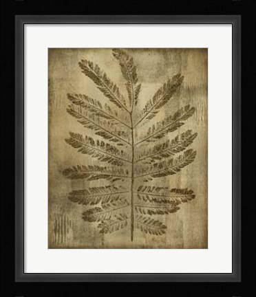 Framed Sepia Drenched Fern I Print