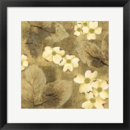 Framed Sun-Kissed Dogwoods I Print