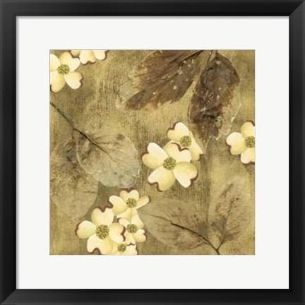 Framed Sun-Kissed Dogwoods II Print