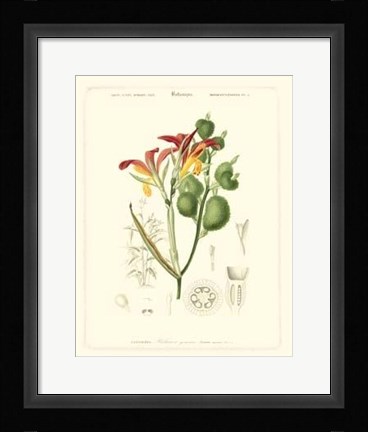 Framed Lush Tropical I Print
