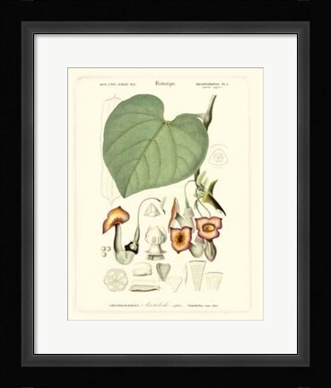 Framed Lush Tropical V Print