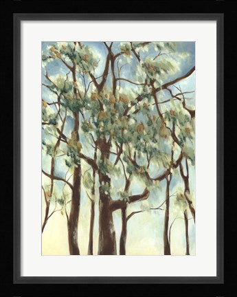 Framed Shenandoah Sunrise I Print