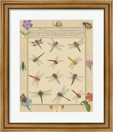 Framed Dragonfly Manuscript II Print