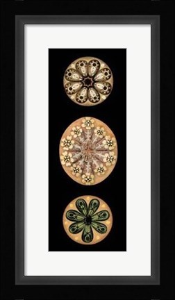 Framed Kaleidoscope Anemone II Print