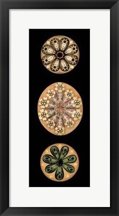 Framed Kaleidoscope Anemone II Print