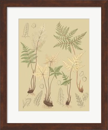Framed Nature&#39;s Lace II Print