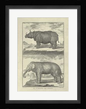 Framed Elephant Rhino Print