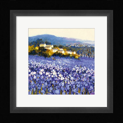 Framed Champs D'iris, Provence Print