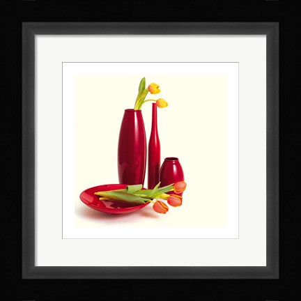 Framed Coromandel I Print