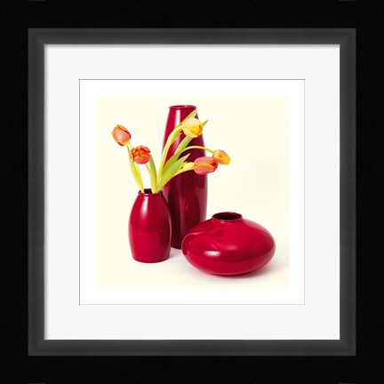 Framed Coromandel II Print