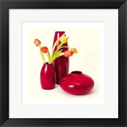 Framed Coromandel II Print