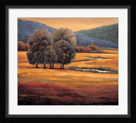 Framed In All Its Glory I Print