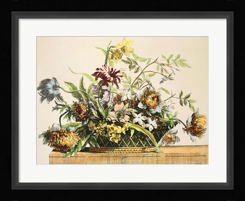 Framed Basket of Flowers II Print