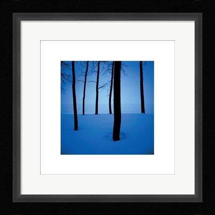 Framed Trees In Snow Print