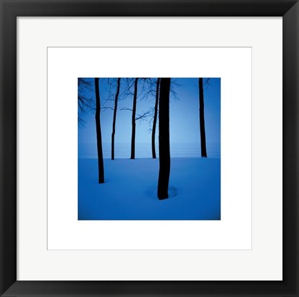 Framed Trees In Snow Print