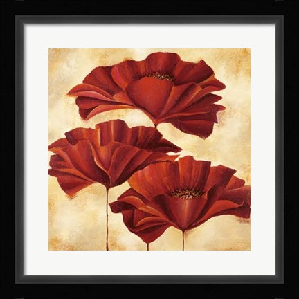 Framed Three Poppies II Print