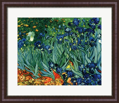 Irises in the Garden, Saint-Remy, c.1889 Fine Art Print by Vincent Van ...