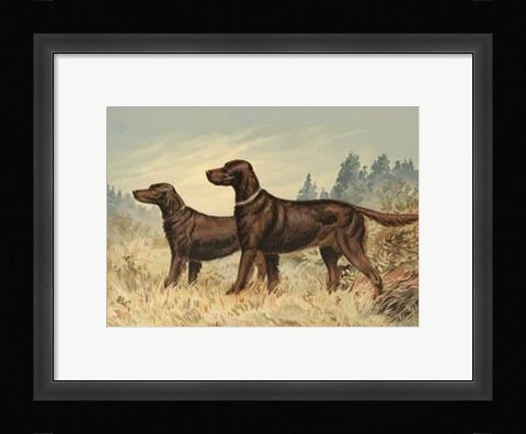 Framed Irish Setter II Print