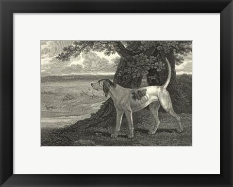 Framed Staghound Print