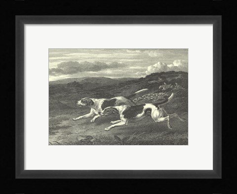 Framed Foxhounds Print