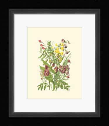 Framed Summer Garden IX Print
