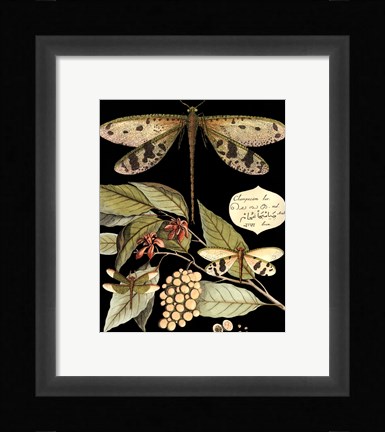 Framed Whimsical Dragonflies On Black I Print