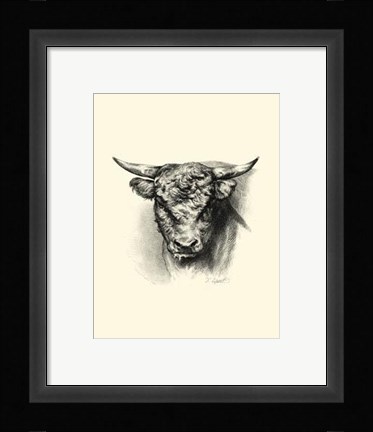 Framed Antique Cattle III Print