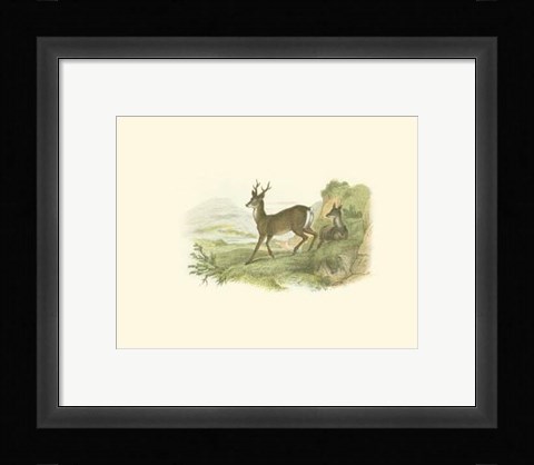 Framed Petite Row Deer Print
