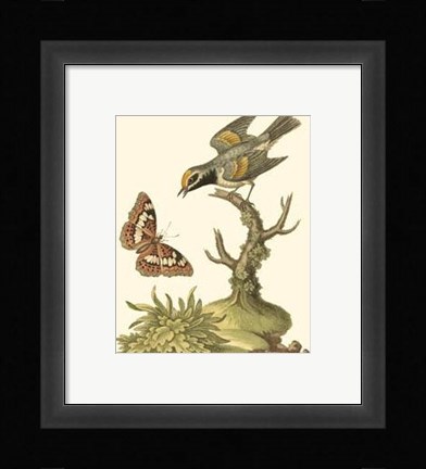 Framed Petite Bird Study I Print