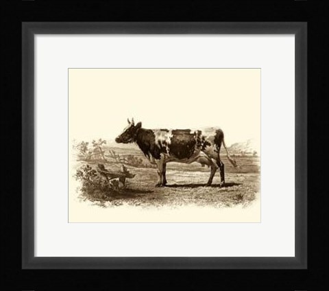 Framed Bovine II Print