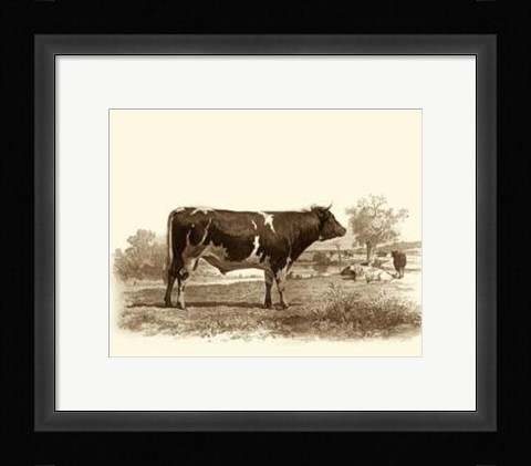 Framed Bovine IV Print